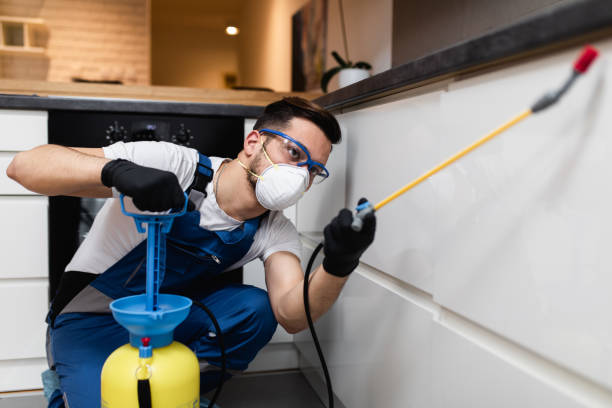 Best Termite Control Services  in Danville, KY