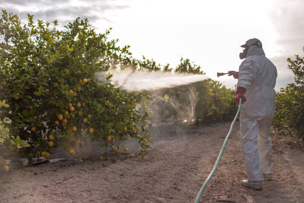 Best Wildlife Control Services  in Danville, KY