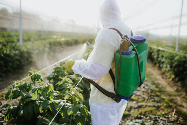 Best Mosquito Control Services  in Danville, KY